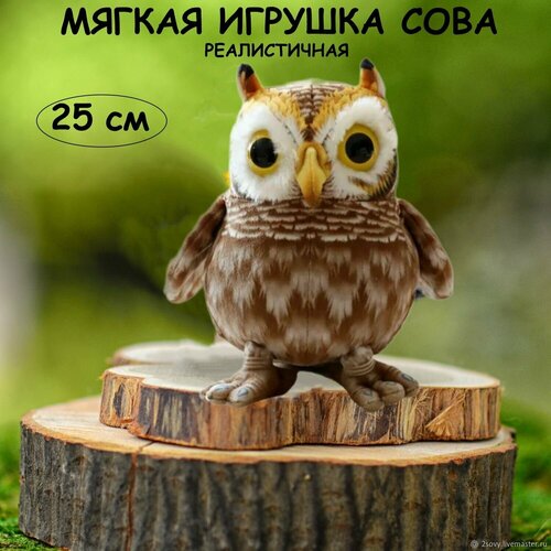 Мягкая игрушка Сова 25 см коричневая, реалистичная сова, филин, плюшевый совенок, совушка, игрушки для детей