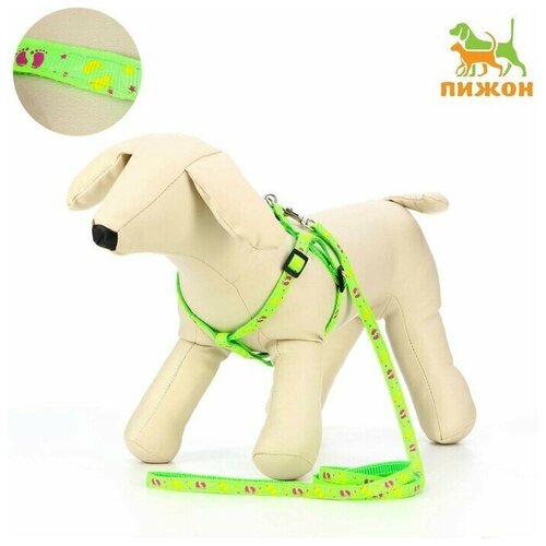 Комплект Цветные следы ширина 1 см поводок 120 см шлейка 23-35 см зелёный 750₽