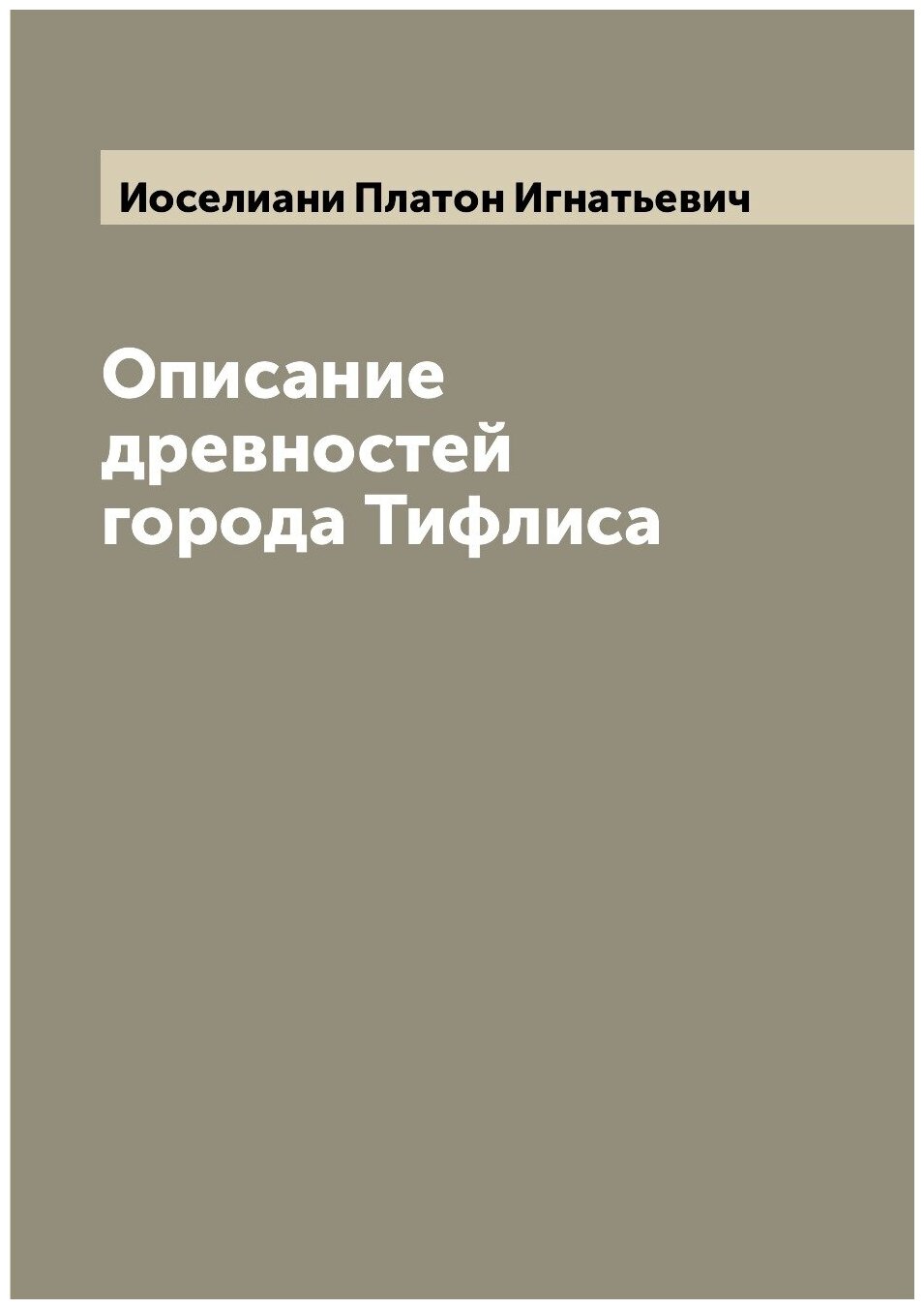 Книга Описание древностей города Тифлиса - фото №1
