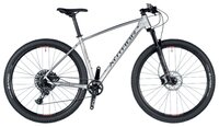 Горный (MTB) велосипед Author Orion 29 (2019) silver matt/black 17" (требует финальной сборки)