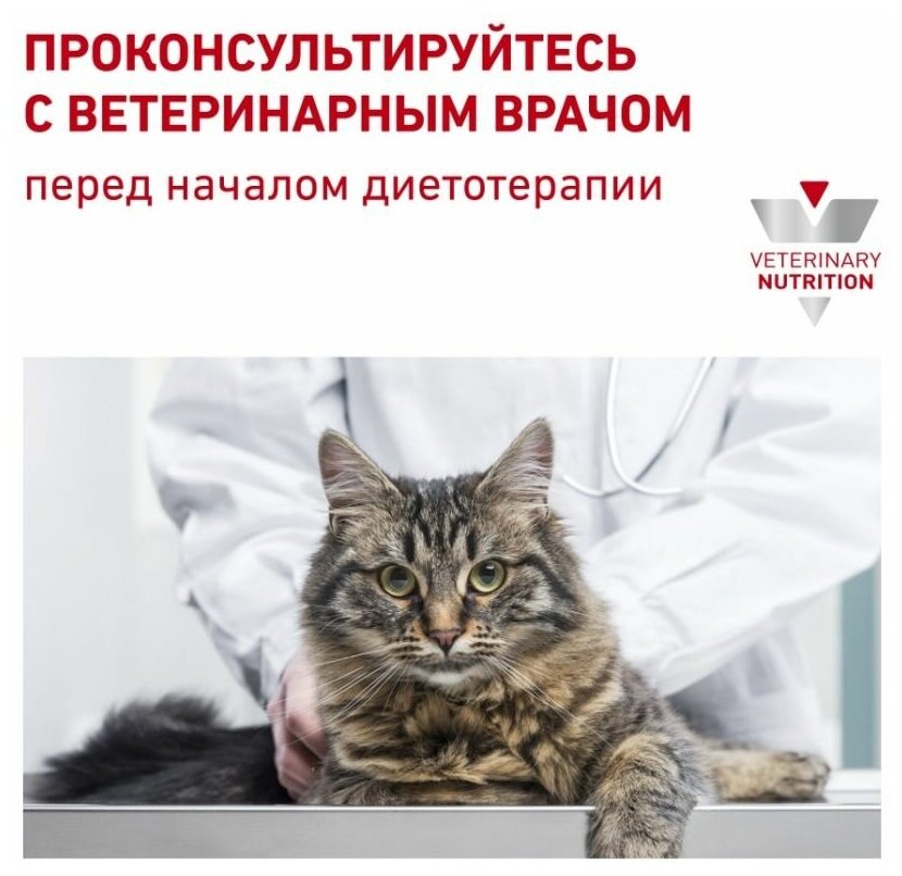 Royal Canin Urinary S/O LP34 Feline 7кг Корм для кошек при лечении МКБ - фотография № 5