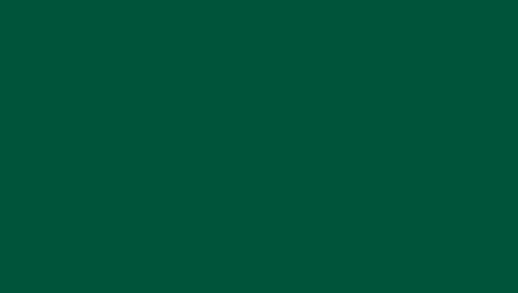 Герметизирующая лента Grand Line UniBand самоклеящаяся RAL 6005 зеленая 3м*10см - фотография № 2