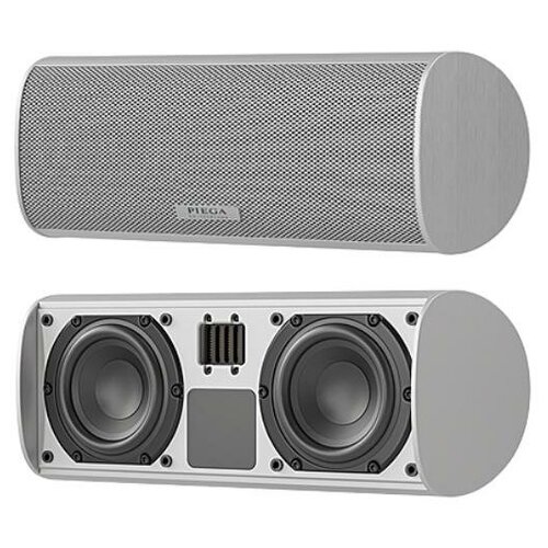 Центральные каналы Piega Ace Center wireless RX silver 14300000₽