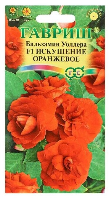 Семена цветов Бальзамин "Уоллера Искушение оранжевое" F1, О, 5 шт.