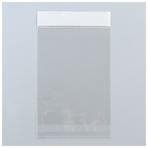 Пакет бопп с клеевым клапаном прозрачный 14 х 164 см 30 мкм 100шт 595₽