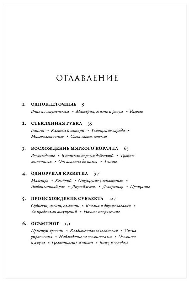 Метазоа: Зарождение разума в животном мире - фото №4