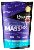 Гейнер G.E.O.N. Excellent Mass 5000 (920 г) апельсиновый пирог