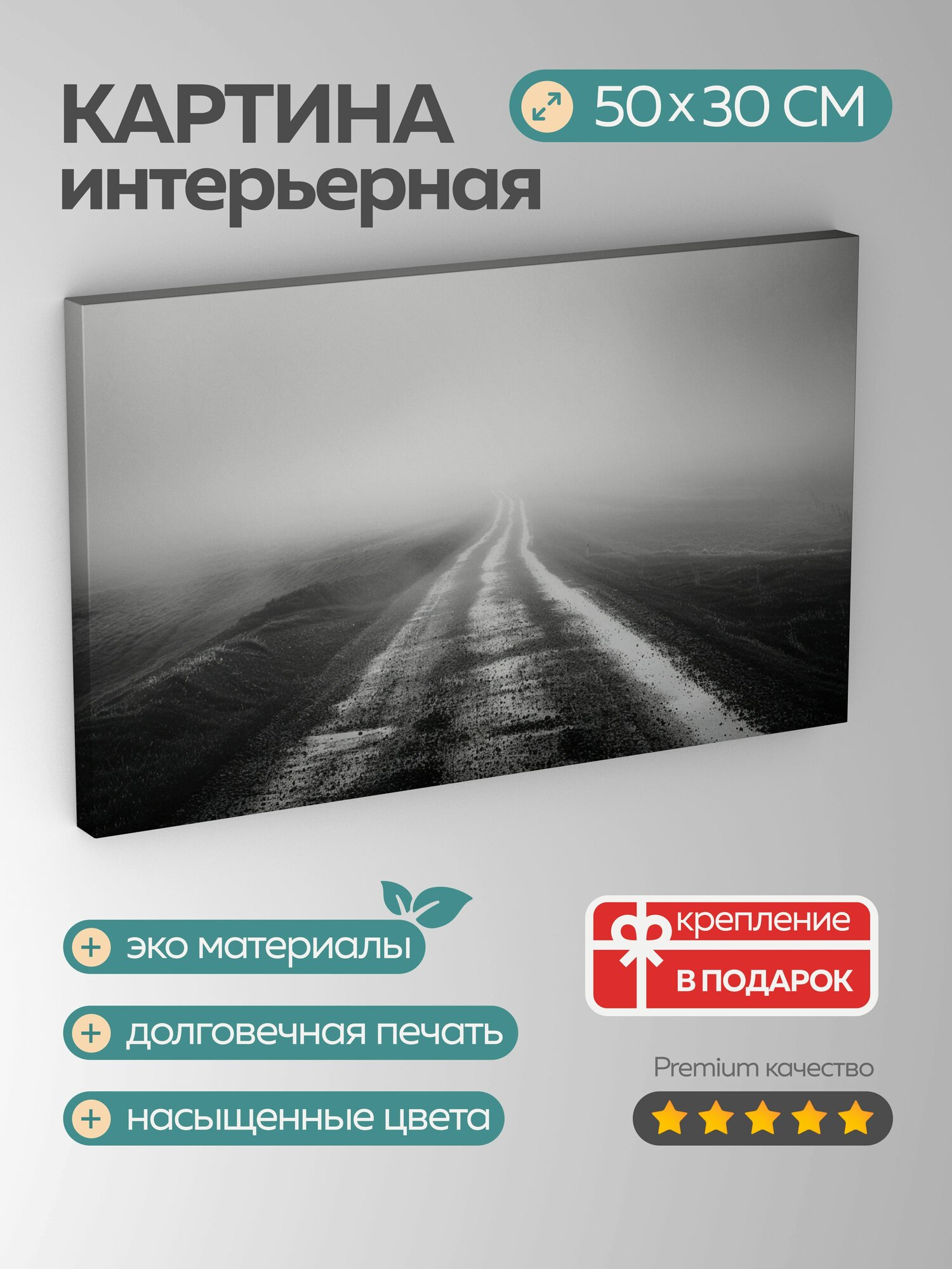 Картина на холсте интерьерная 50х30 см пустынная дорога черно-белая фотография туман горизонт одиночество