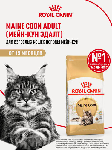 Изображение товара Сухой корм для кошек Royal Canin Adult для породы мейн кун, 10 кг