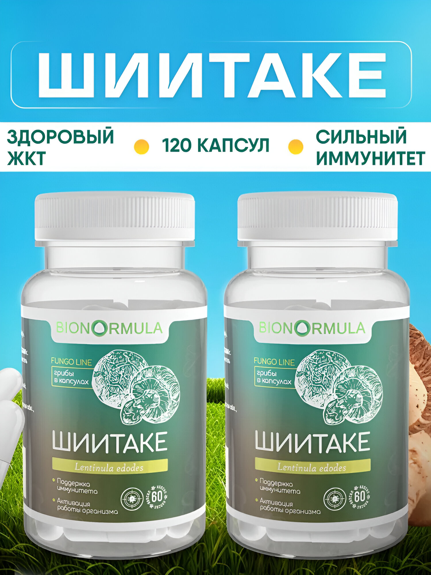 Грибы Шиитаке в капсулах Bionormula для иммунитета, от холестерина, от давления, 120 капсул