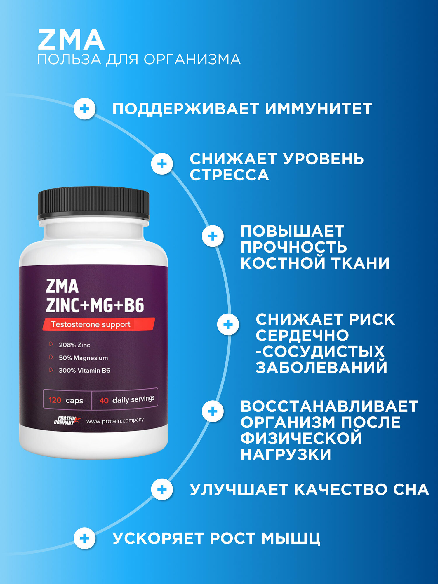Спортивное Питание ZMA комплекс Zn+Mg+B6, PROTEIN.COMPANY. Бустер тестостерона, 120 капсул