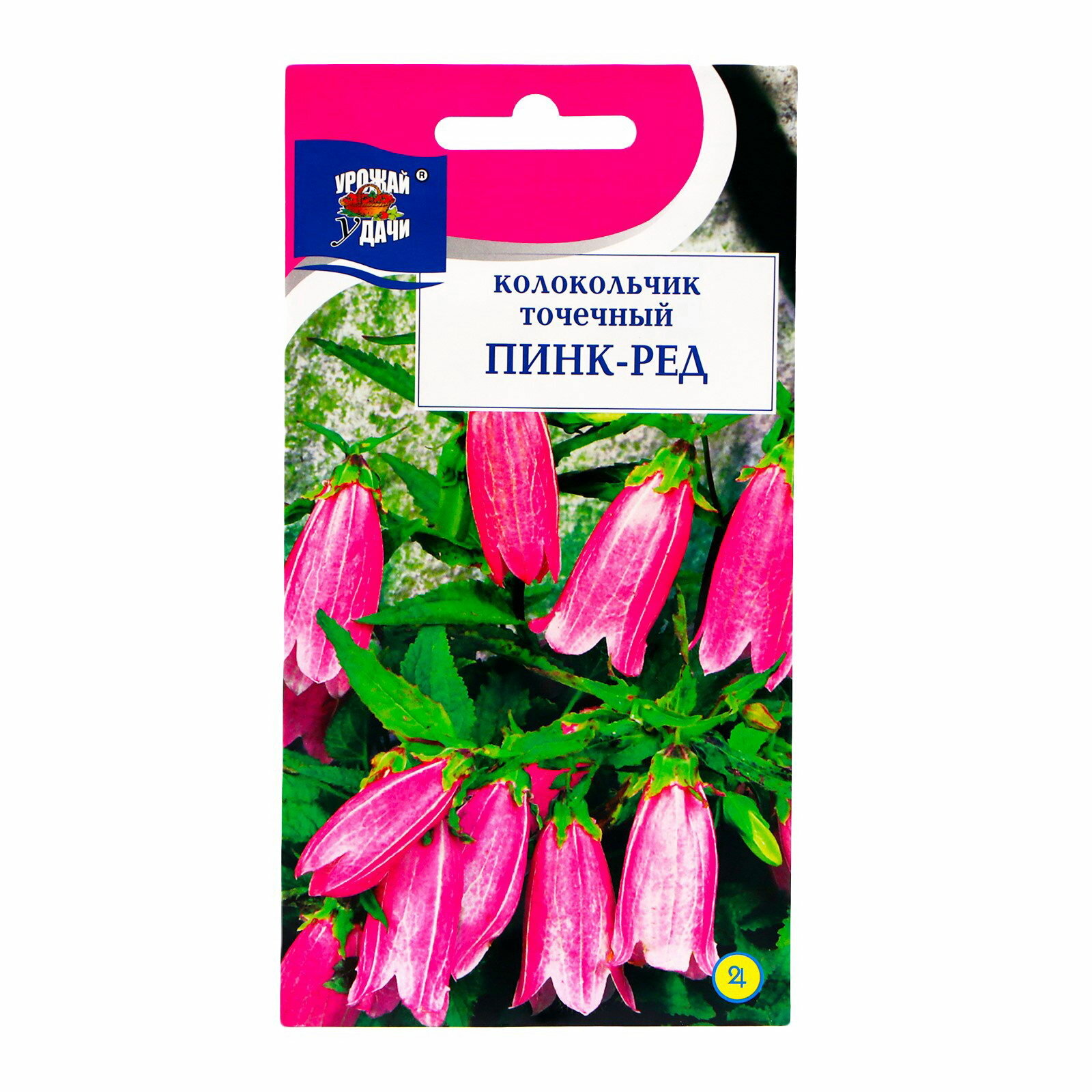 Семена цветов Колокольчик 