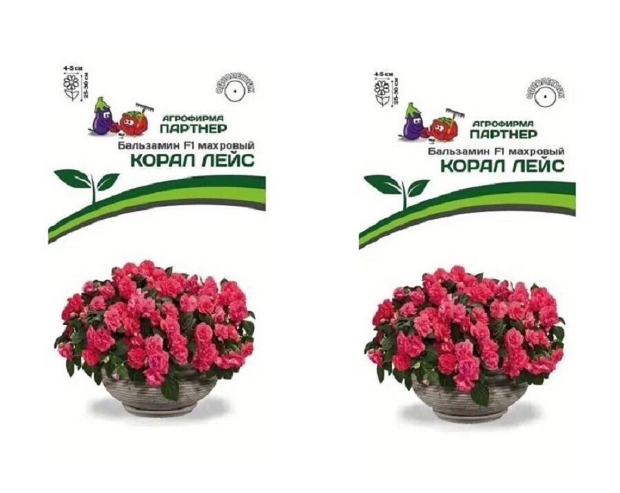 Бальзамин махровый КОРАЛ ЛЕЙС ( Агрофирма Партнер) 2 упаковки по 5 семян