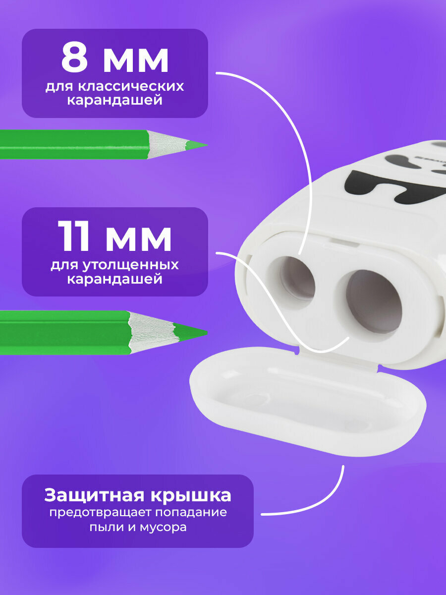 Точилка 2в1 для простых и цветных карандашей с контейнером и ластиком/стирательной резинкой для школы, 2 отверстия, Brauberg Kids Панда, блистер, 271988 — фото 1