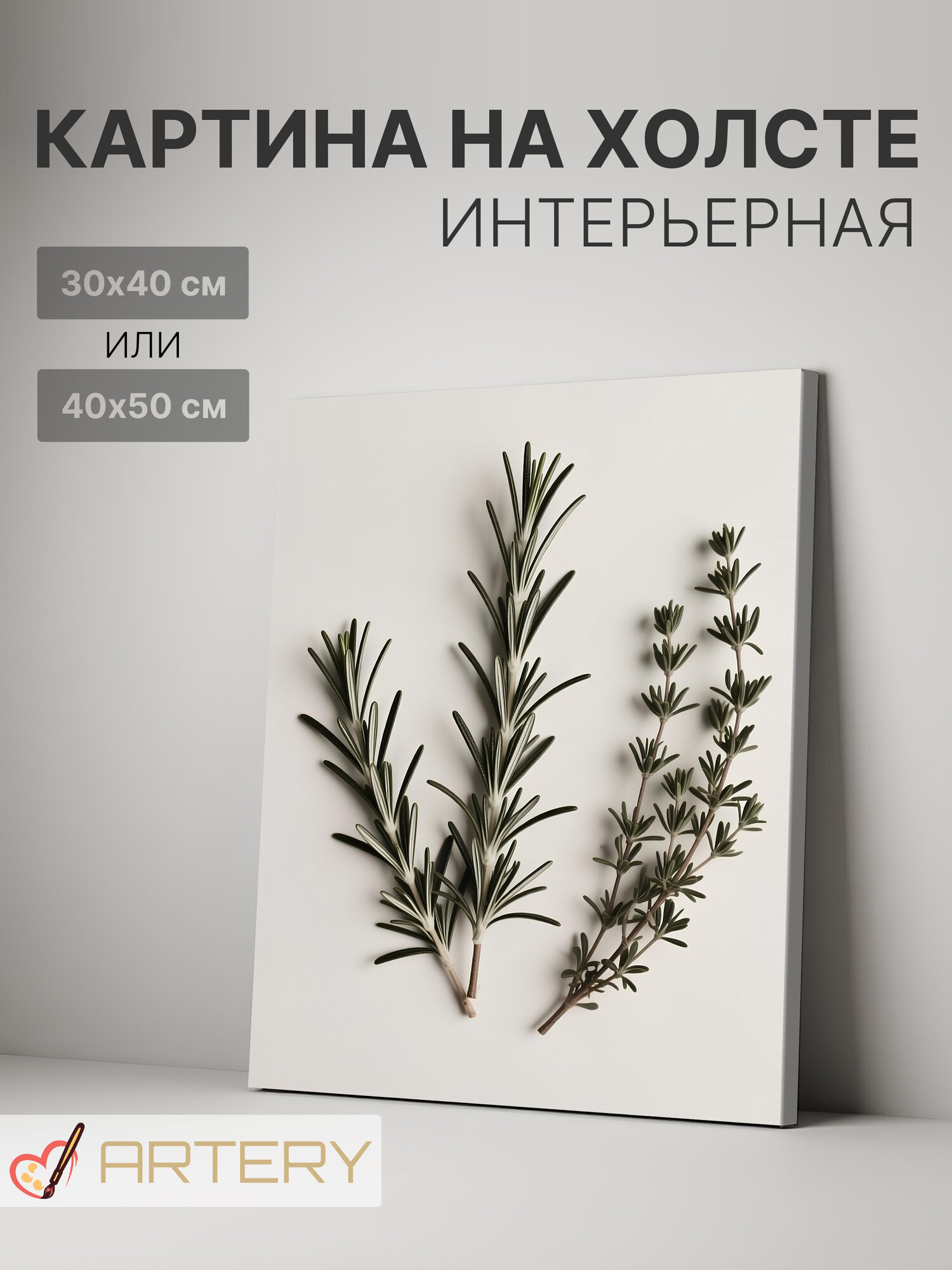 Картина интерьерная на стену ARTERY "Розмарин и тимьян", печать на холсте, постер на подрамнике, 40х50 см