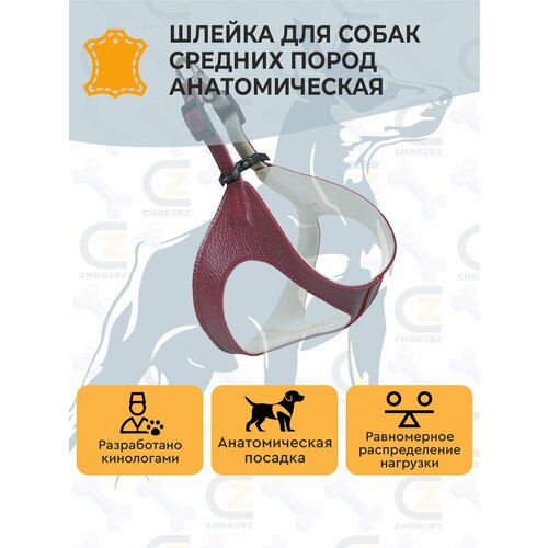 фото Анатомическая шлейка /шлейка-жилетка для собак кожаная chokerz премиум для мелких и средних пород собак (шея: 36 см; грудь: 45 см)
