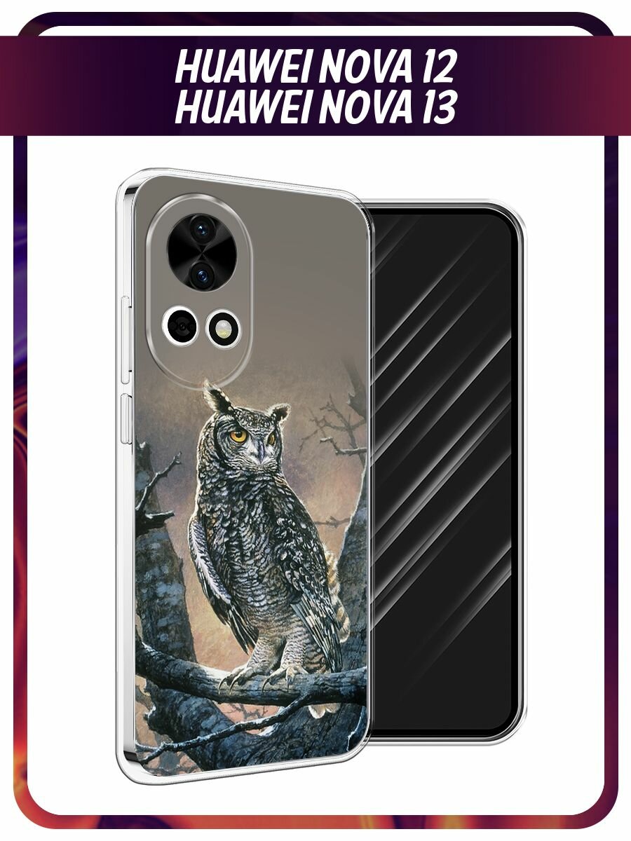Чехол на Huawei Nova 12/Nova13 / Хуавей Нова 12/Нова 13 с принтом "Сова арт 5"