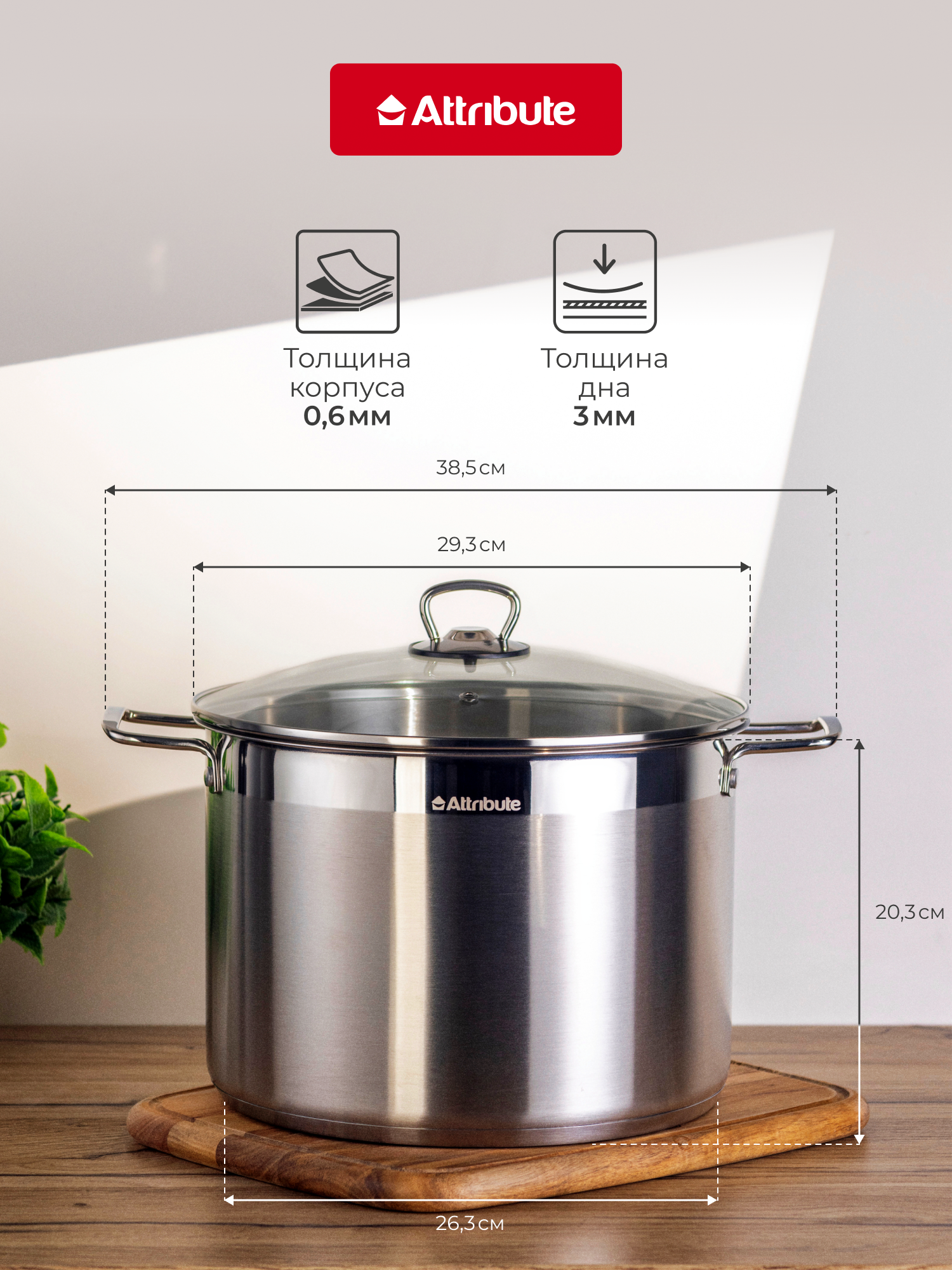 Кастрюля со стеклянной крышкой MASTER CHEF 12.0л 28х20см — фото 1