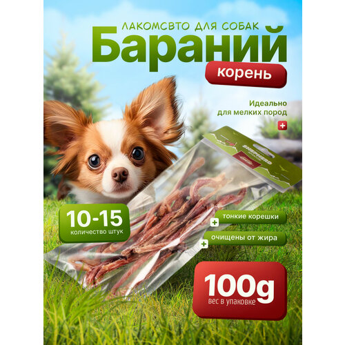 Бараний бибер (корень), натуральное сушёное лакомство для собак SHEPHERD TM, 100гр.