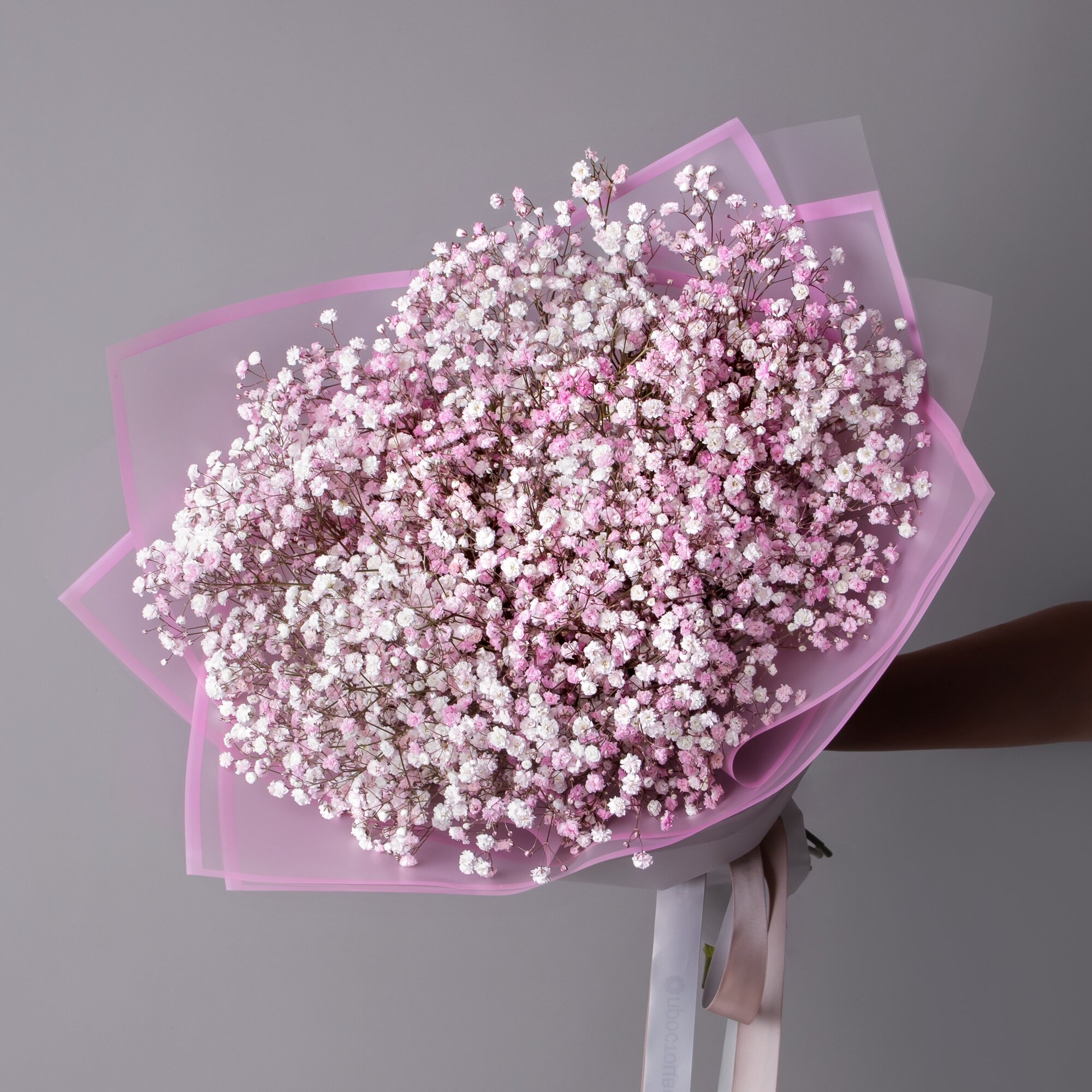 Букет Гипсофила "Крашенная светло-розовая" 5 шт Высота 80 см в коробке и аквабоксе от "Простоцветы"