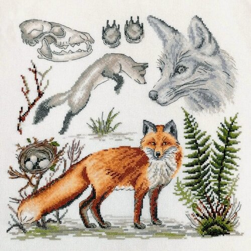 Изображение товара Набор для вышивания "Лисица обыкновенная" 30х30см, 03.014.17