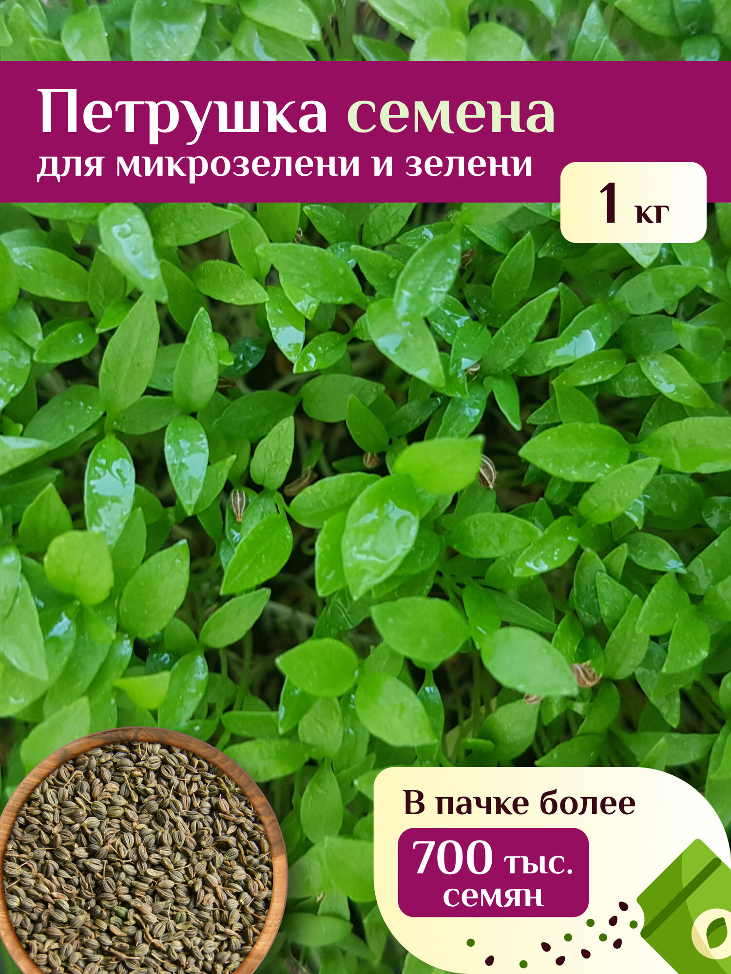 Петрушка семена для микрозелени и зелени, Ильинские проростки 1кг