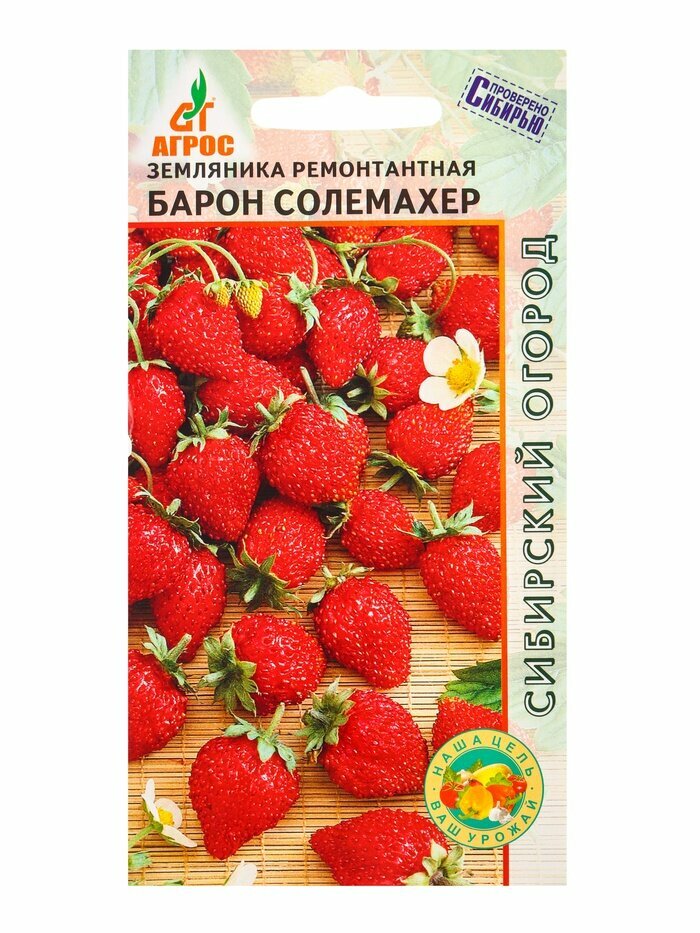 Семена Земляника ремонтантная 