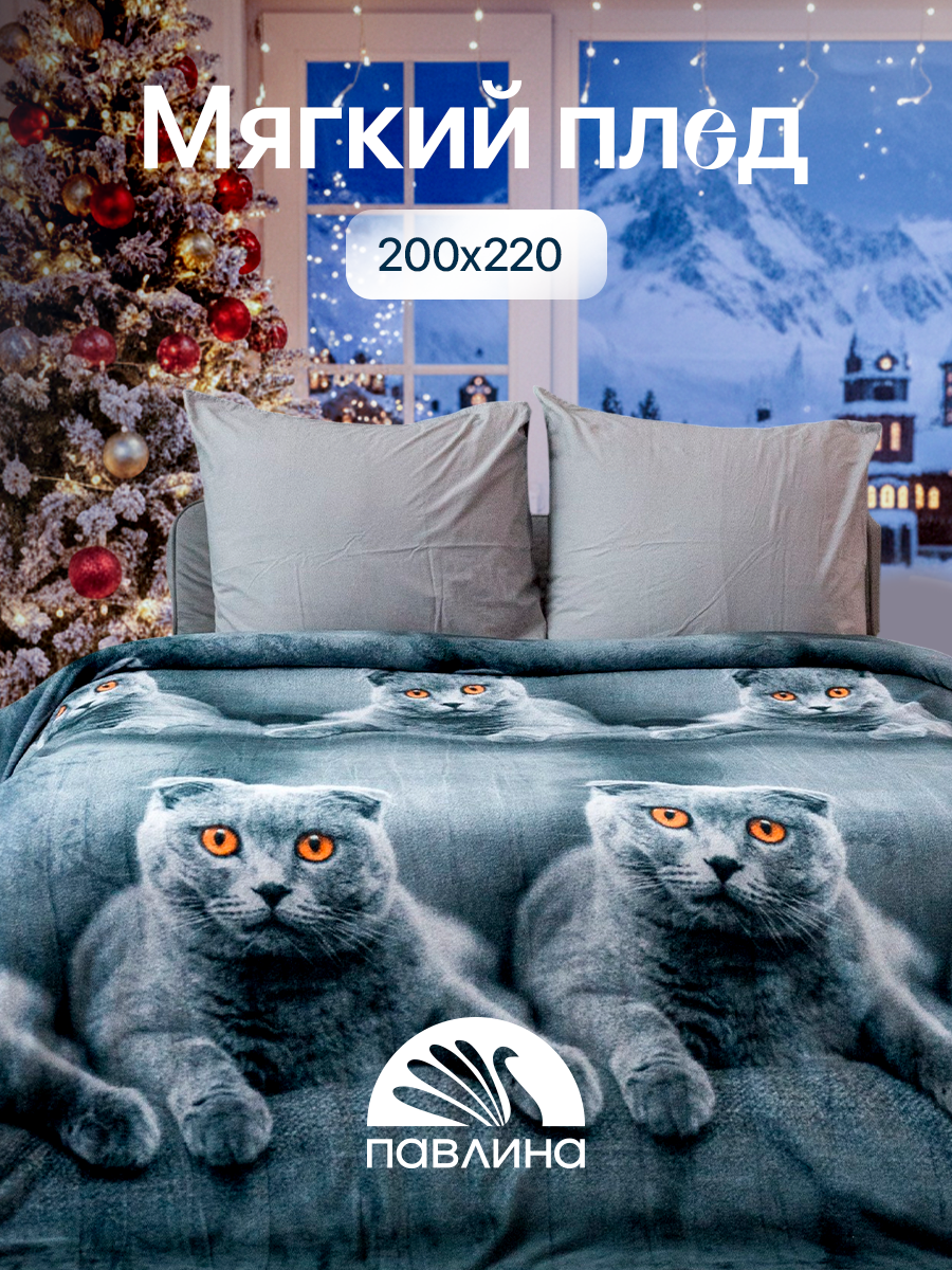 Плед 200х220 Павлина Кот шотландский шотландец на диван на кровать