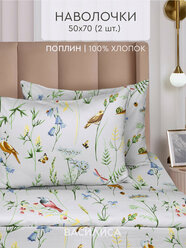 Комплект наволочек Василиса 50х70 см, 2 шт, Поплин, хлопок 100%, Серенада