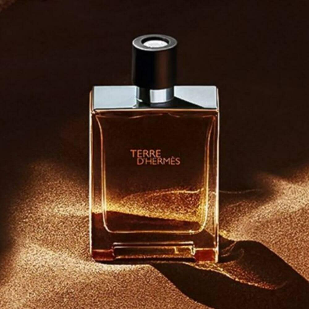 Туалетная вода Hermes "Terre D'Hermes", мужская, без спирта, 100мл — фото 1