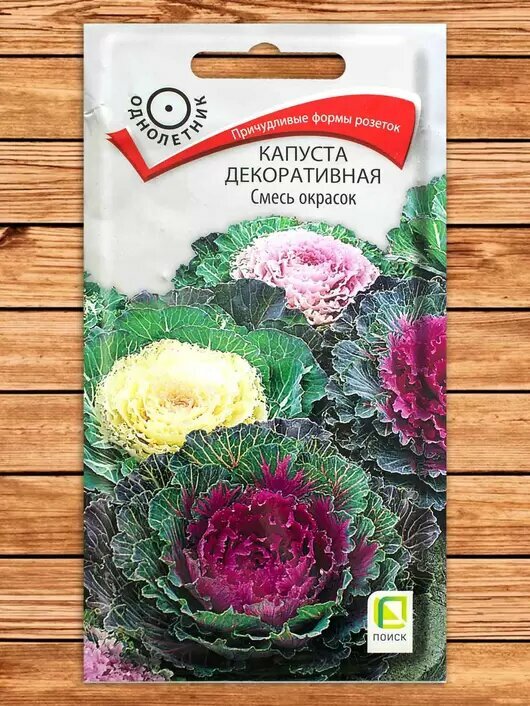 Семена капусты декоративной Поиск "Смесь окрасок", однолетние