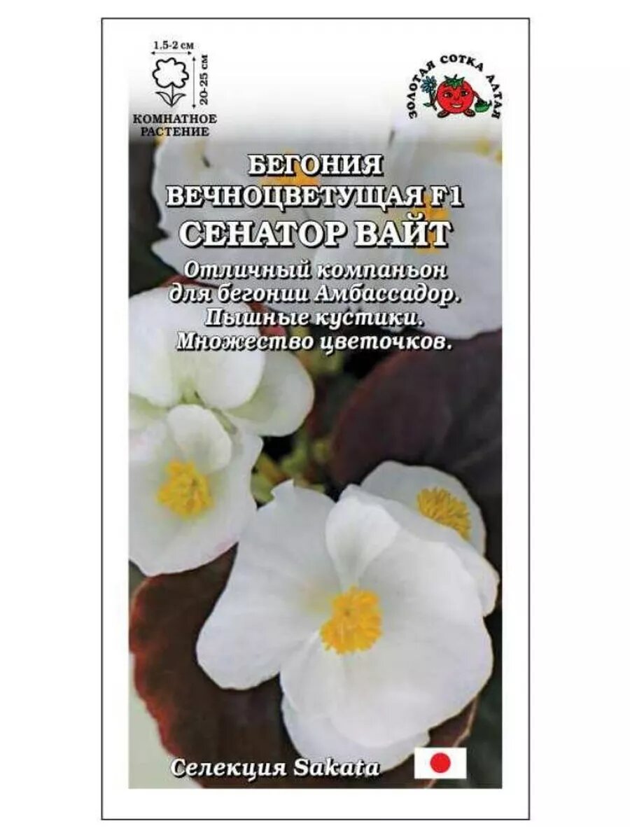Бегония Сенатор Вайт F1 5шт.