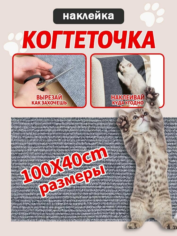 Когтеточка — фото 1