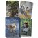 Tarot Divination Cards