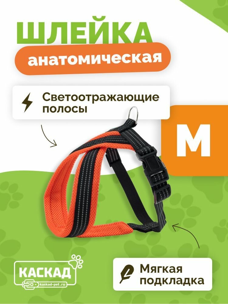 Шлейка для собак анатомическая Каскад, с мягкой подкладкой, оранжевая 2 х 40 х 44-55 см