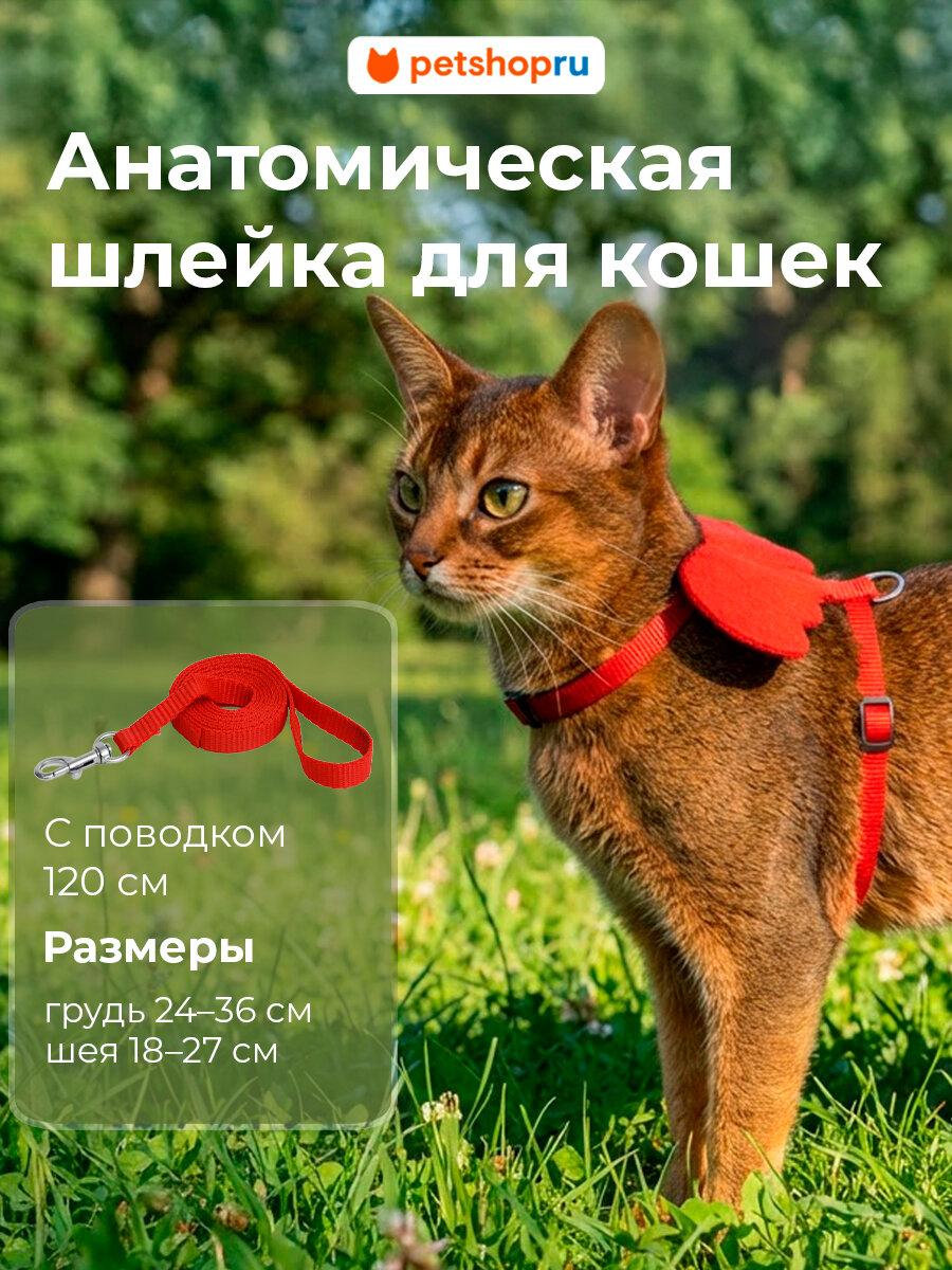 PETSHOP Шлейка с поводком для кошек с крыльями "Ангел", 24-36 см, красная