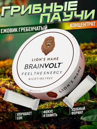 Изображение товара Грибные Паучи Паучи "Ежовик Гребенчатый" Brainvolt, Концентрат Ежовик Гребенчатый в Пастилках для памяти