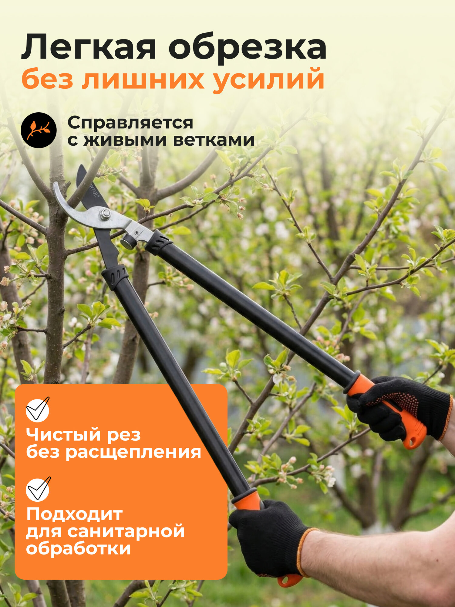Сучкорез садовый плоскостной ручной STARTUL Garden ST6096-03 веткорез, длина 70 см — фото 1