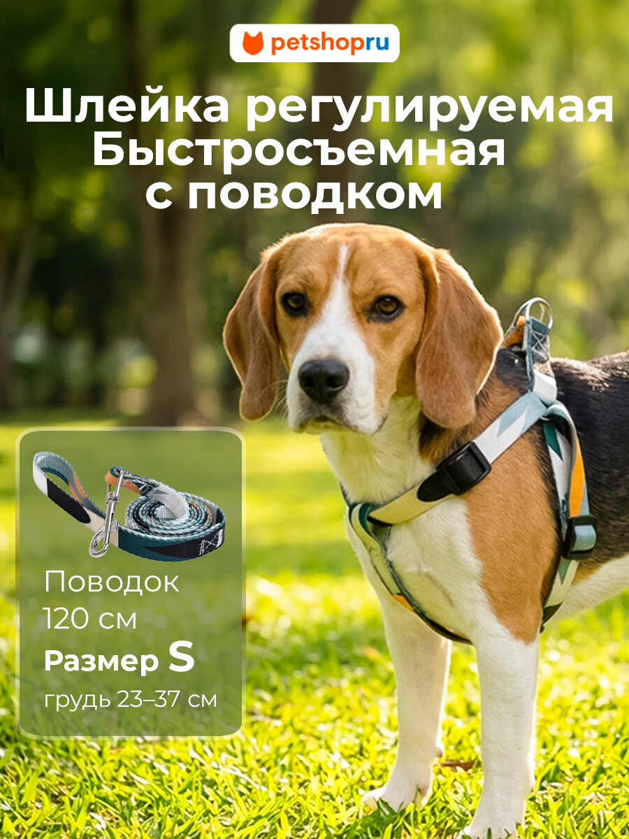 PETSHOP Шлейка с поводком для собак регулируемая "Пикси", серый-бирюзовый, M