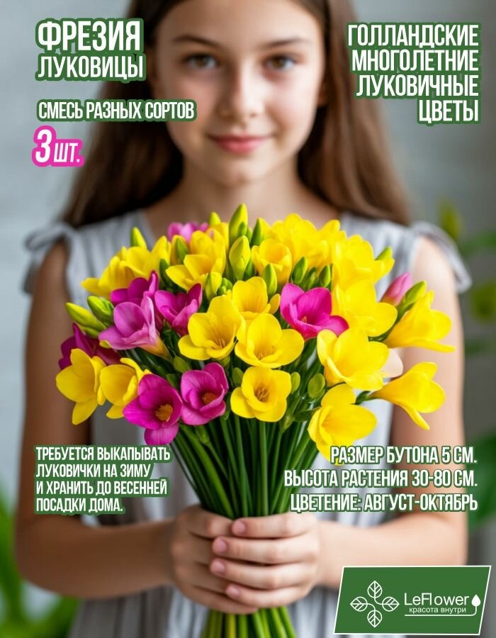 Луковица Фрезия микс сортов 3шт