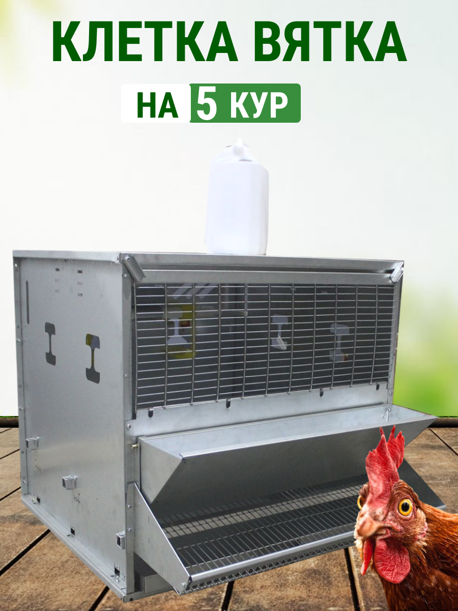 Клетка для кур-несушек до 5 голов в полной комплектации Подворье Вятка