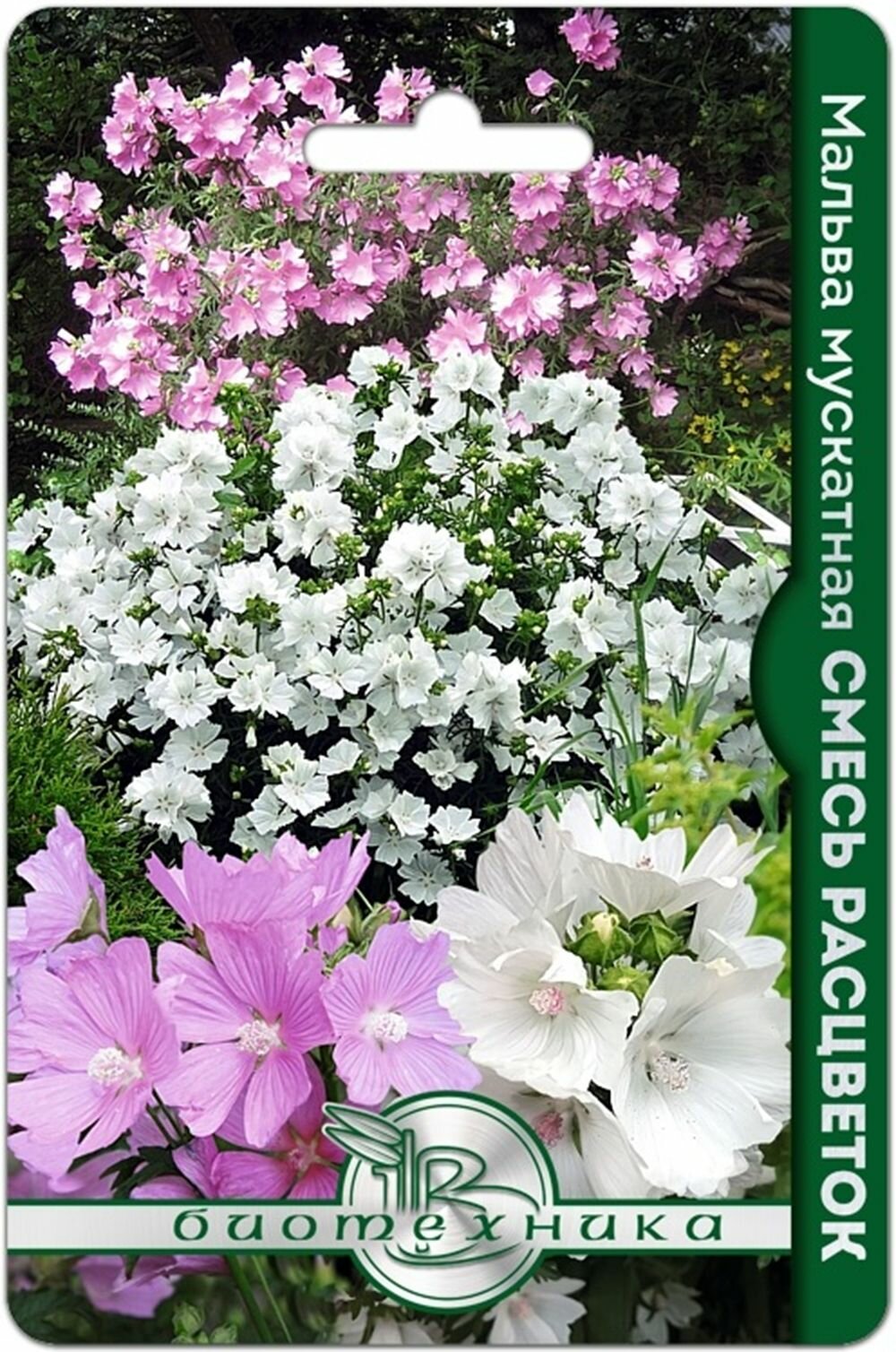 Мальва мускатная Смесь расцветок 40 семян  Биотехника