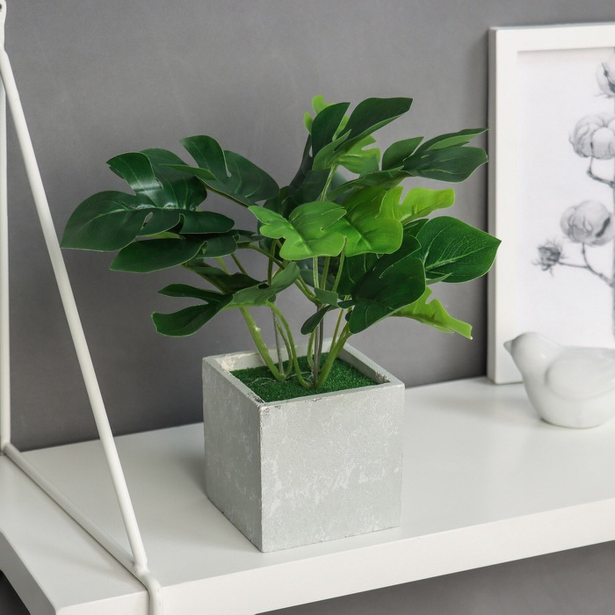 Бонсай Сима-ленд «Монстера галант леди» в горшке зеленый 19x8 см