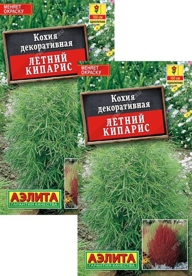 Семена Кохия Летний кипарис (03 г) 2 пакета Агрофирма Аэлита