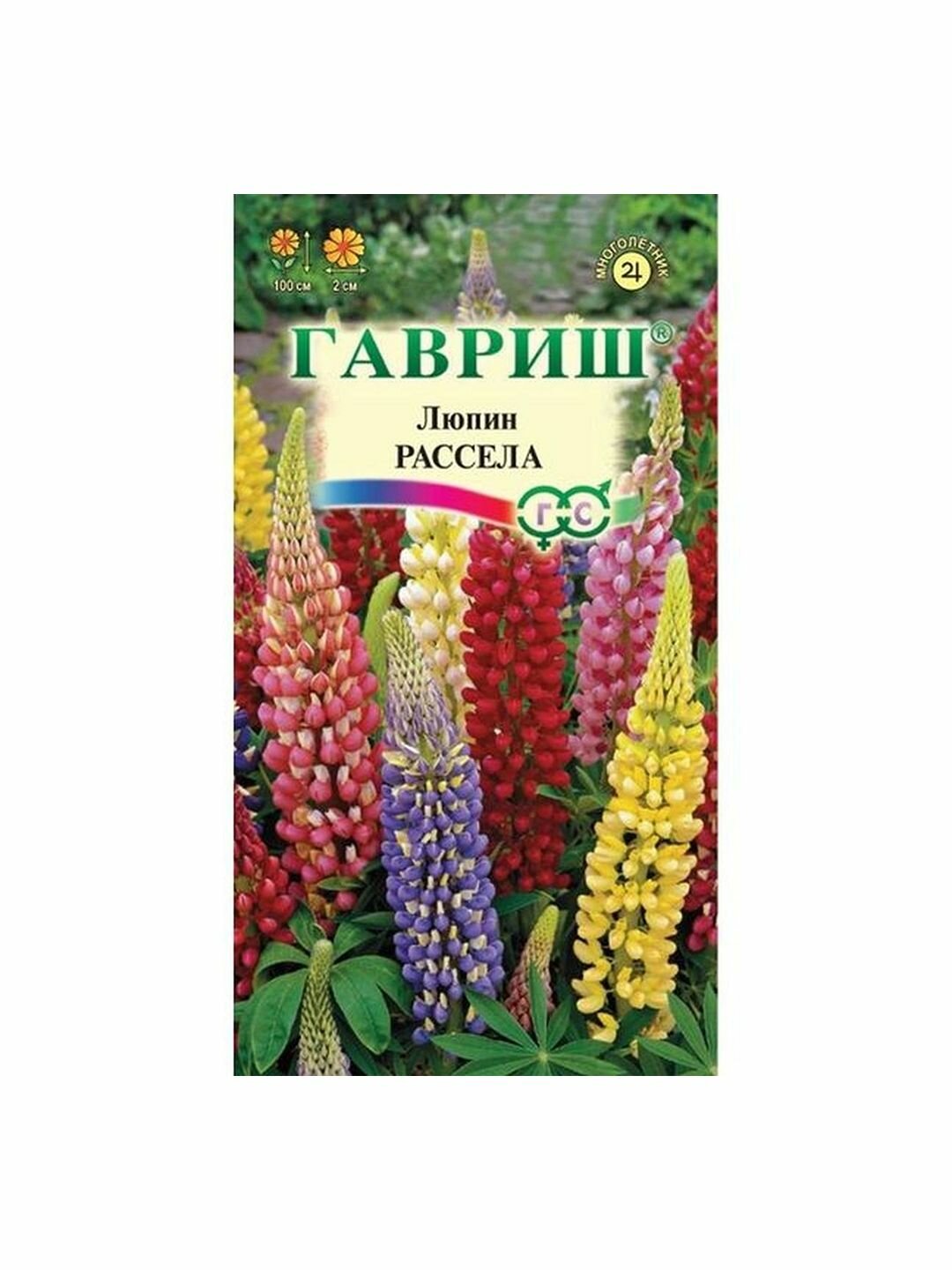 Семена Люпин Рассела смесь многолетние Гавриш 1 пачка - 0.5г семян