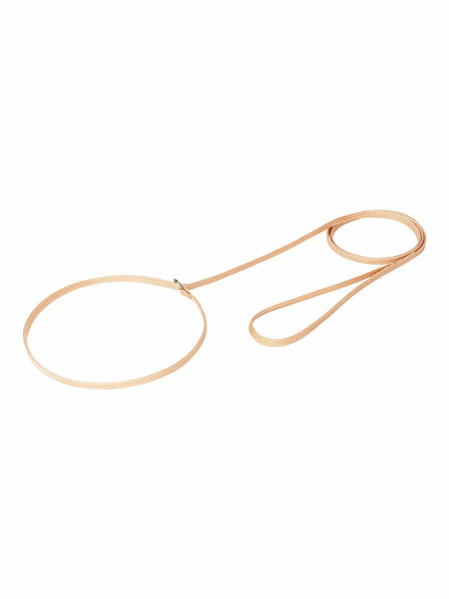 Поводок-удавка с кольцом для собак, ZooOne, лента ширина 5 мм, длина 150 см, (бежевый), 74-2376