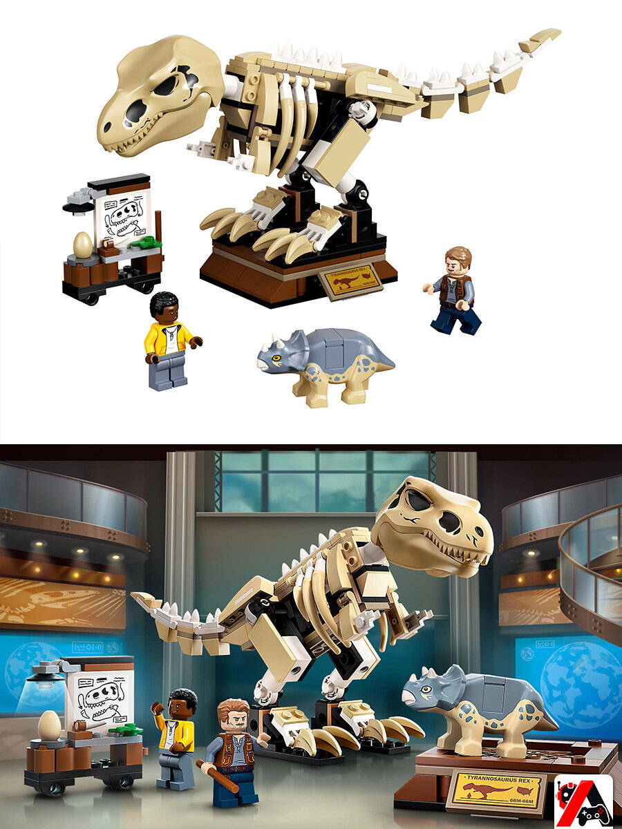 Конструктор Скелет тираннозавра на выставке — фото 1