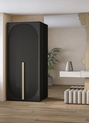 Изображение товара Шкаф распашной Брей-1 Черный для одежды двухдверный 90*250*45