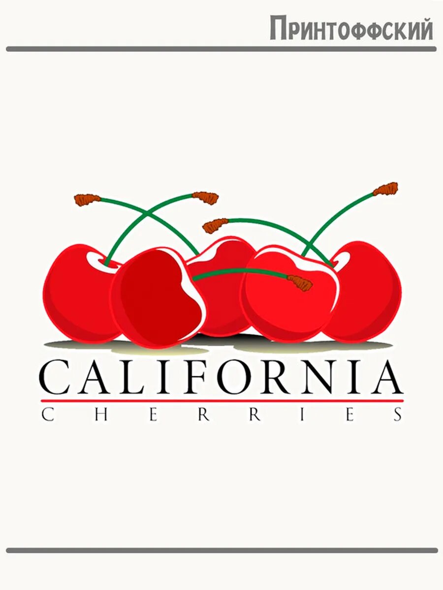 Термонаклейка для одежды и аксессуаров DTF-печать в стиле 90-х California cherries