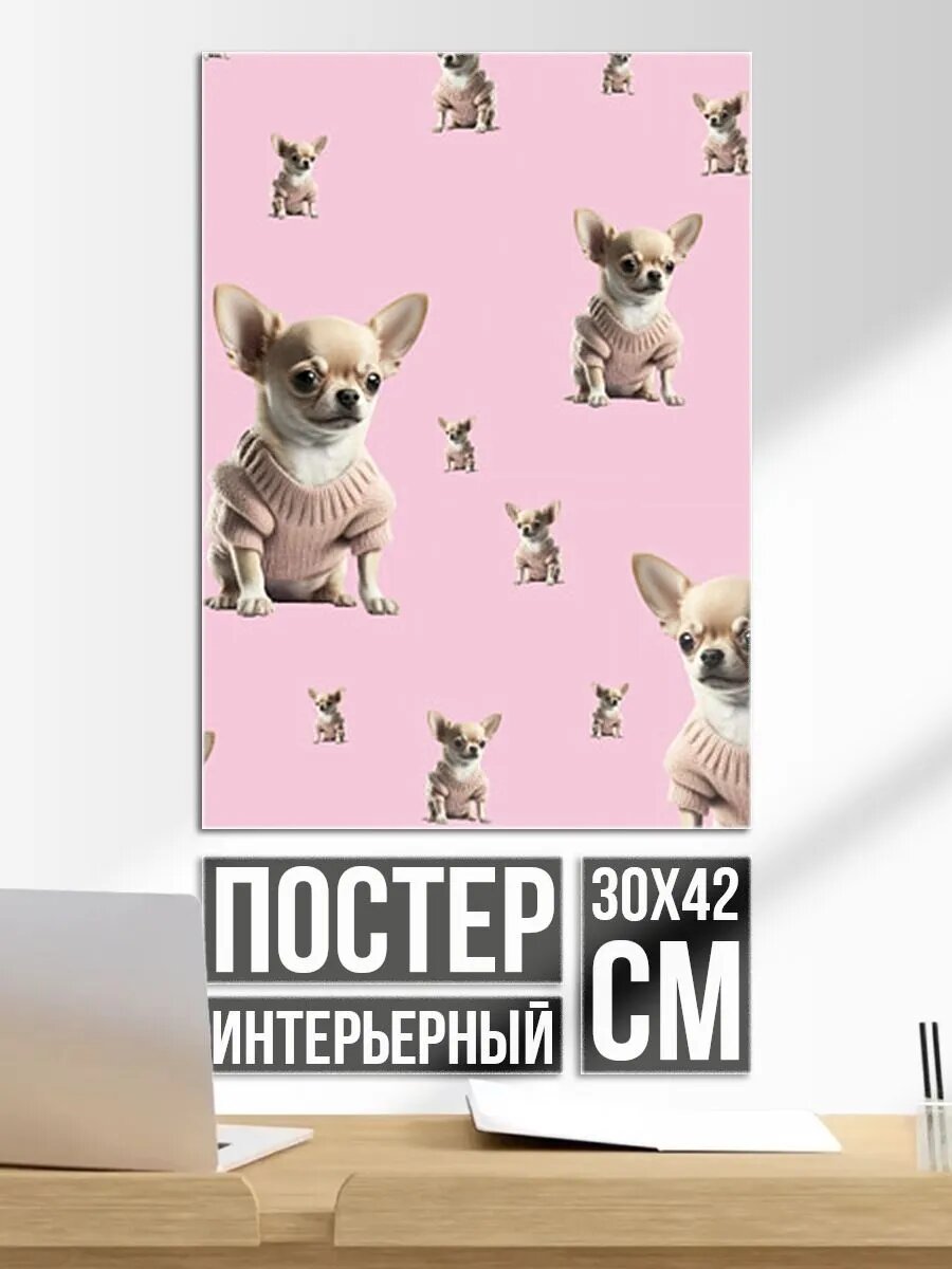 Постер на стену Стиль жизни: чихуахуа